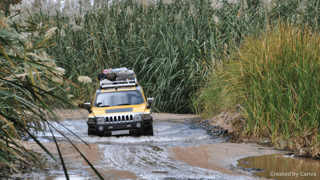 Winch-Out Services: When Your Car Gets Stuck in Sand or Mud